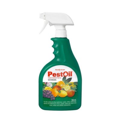 PEST OIL READY TO USE 750ML