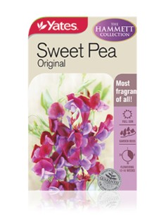 Yates Sweetpea Original B Seeds