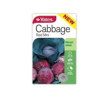 SEEDS CABBAGE RED MINI B