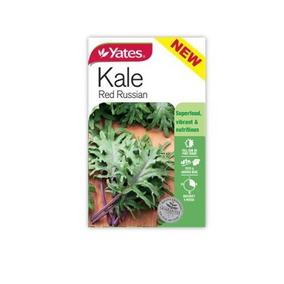 SEEDS KALE RED RUSSIAN B