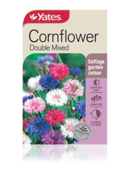 Yates Cornflower Double Mixed