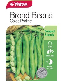 YATES BROAD BEAN COLES PROLIFIC A SEEDS