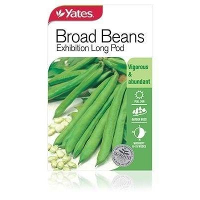YATES BROAD BEAN EARLY LONG POD A SEEDS
