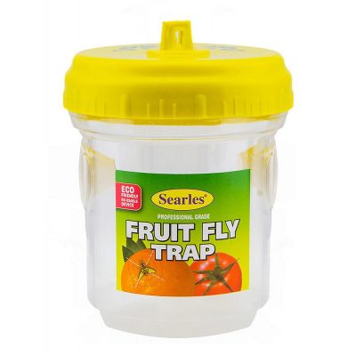 FRUIT FLY TRAP