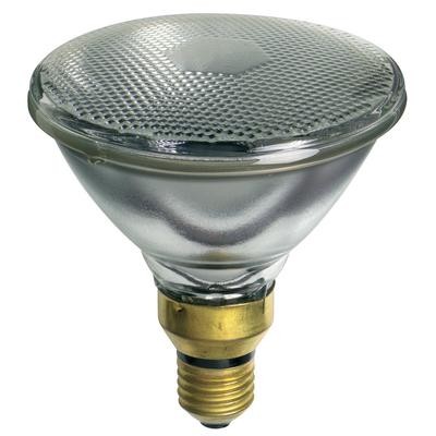 Nelson Light Globe Par 38 Hardface Es 150w