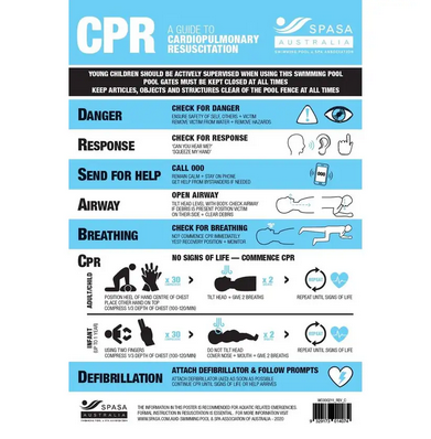 Cpr Chart 17
