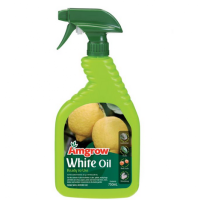 Insecticide White Oil Rtu 750ml